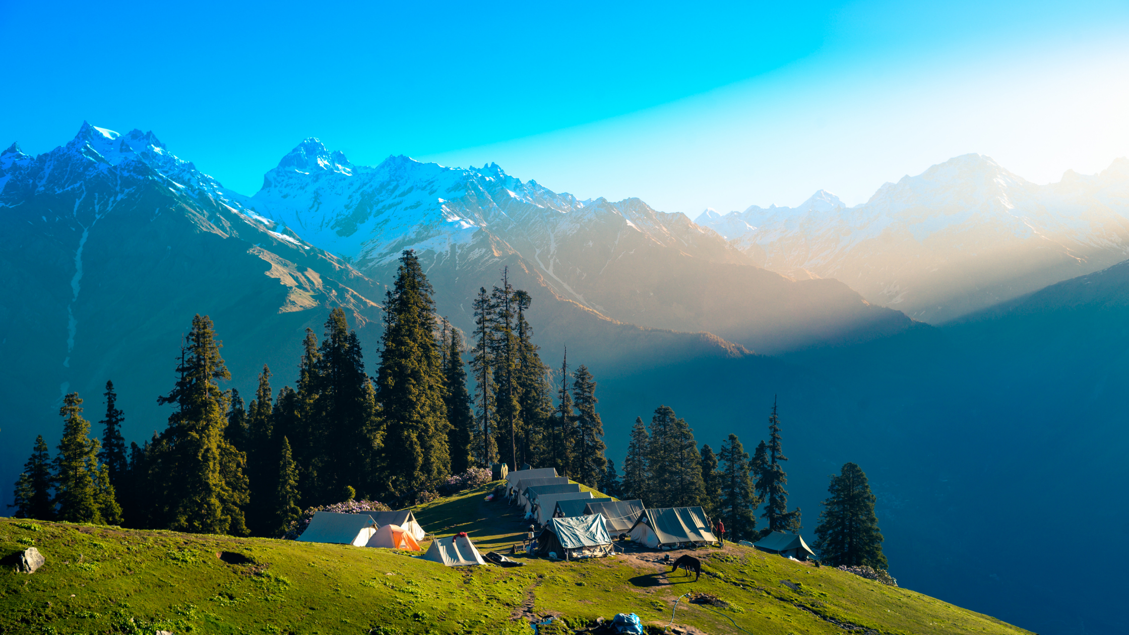 top hotel in solan